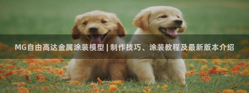 美高梅全球限量100张