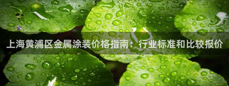 美高梅大酒店几星级