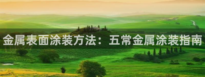 美高梅衣服外套