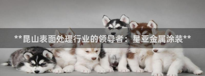 美高梅物业怎么样