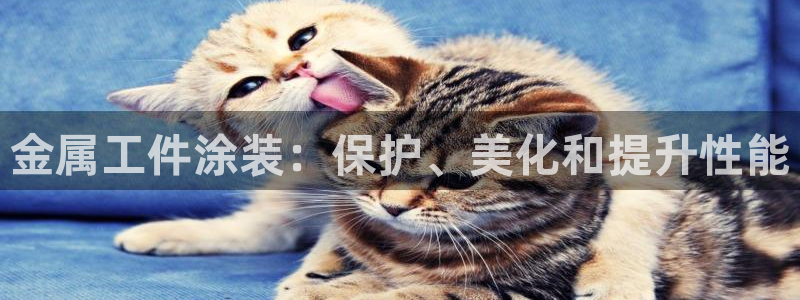 美高梅官网 澳门