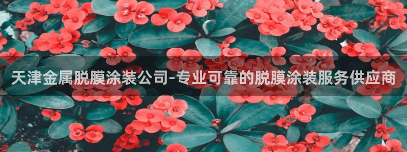 美高梅会员卡等级有什么用