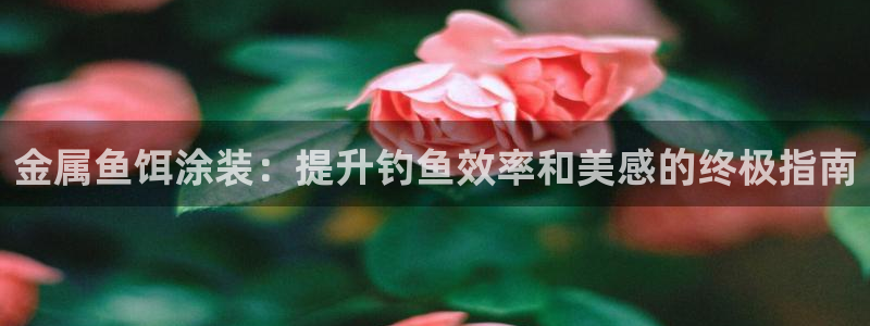 美高梅提现一直处理中：金属鱼饵涂装：提升