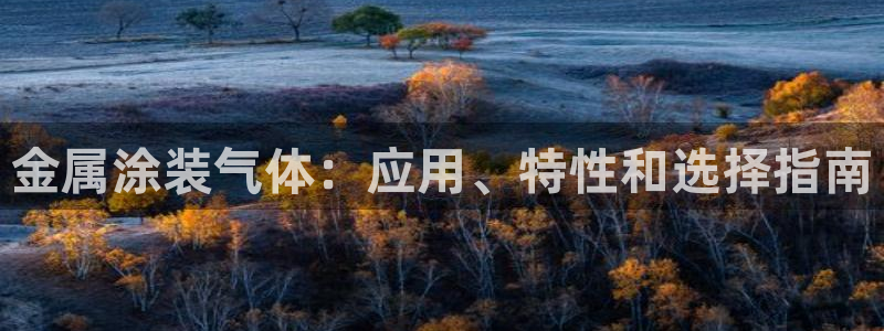 美高梅是美国的还是澳门的：金属涂装气体：
